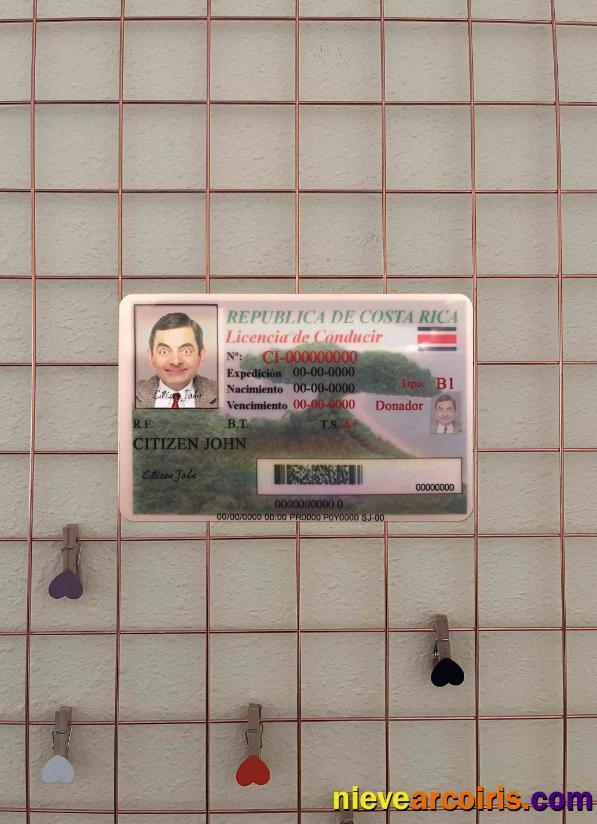 Costa Rica driving license photolook